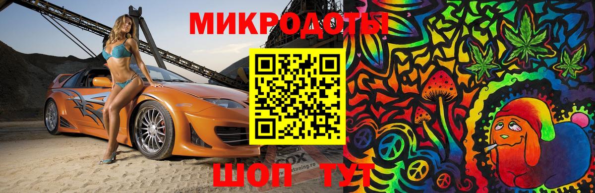 Псилоцибиновые грибы Cubensis Ачхой-Мартан