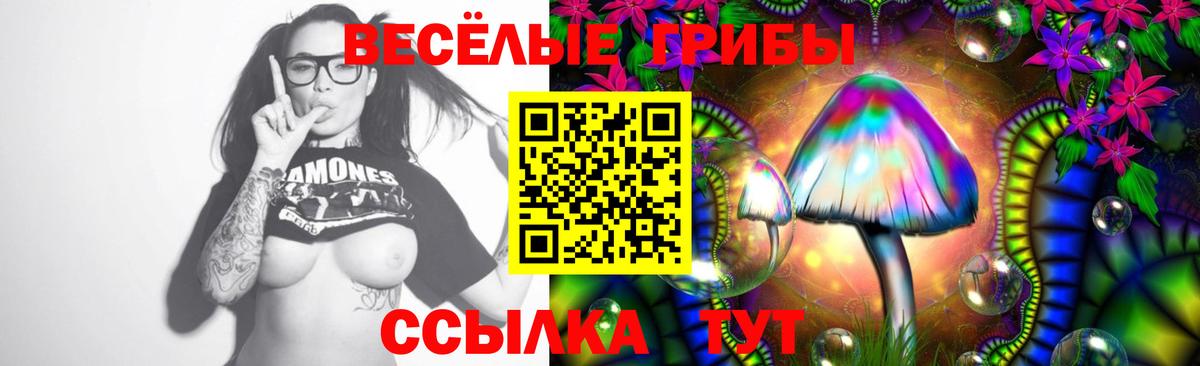 Галлюциногенные грибы MAGIC MUSHROOMS  как найти закладки  Ачхой-Мартан  Вход с VPN 