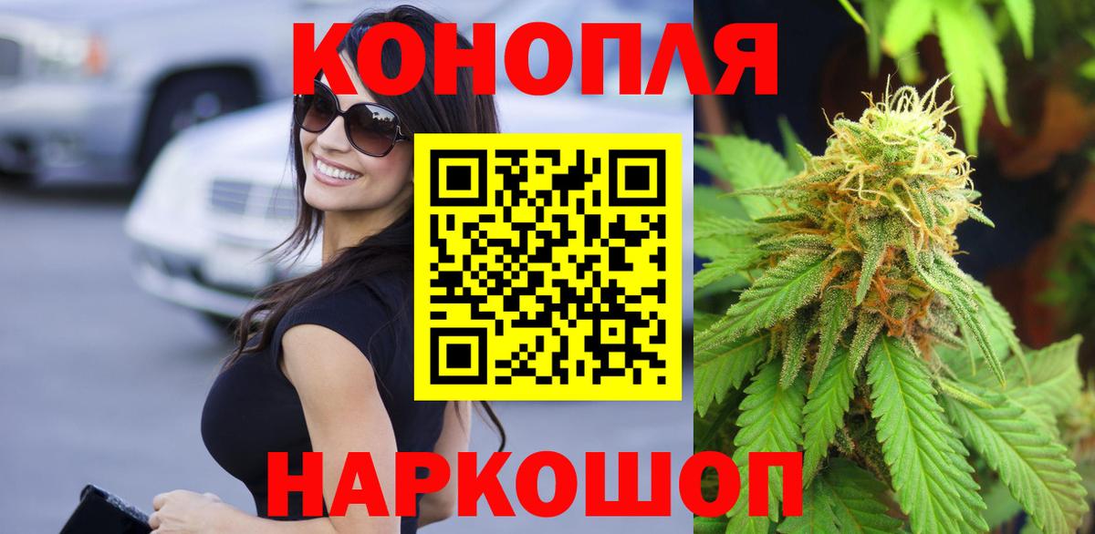 Канабис сатива Ачхой-Мартан